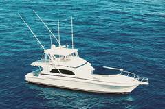 1999 BERTRAM 60 Convertible "BERTRAM 60 CONVERTIBLE" photo 1