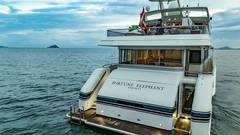1997 ALLOY YACHTS "FORTUNE ELEPHANT" photo 9
