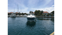 2012 PURSUIT BOATS OS 385 Conquest "2012 PURSUIT OS 385 CONQUEST" photo 8