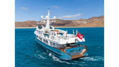 1991 DELTA MARINE Expedition "HURACAN" photo 6