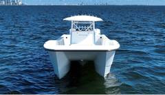 2025 AMERACAT 39 "N/A" photo 8