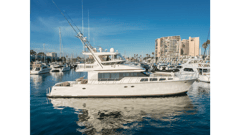 2002 MIKELSON 70 Sportfisher "TRIBELESS" photo 3