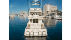2002 MIKELSON 70 Sportfisher "TRIBELESS" photo 5