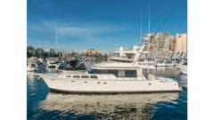 2002 MIKELSON 70 Sportfisher "TRIBELESS" photo 9
