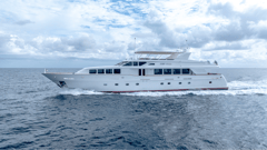 1999 TRINITY Raised Pilothouse "DIRT POOR" photo 9