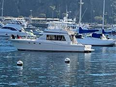 1993 RIVIERA 47 Open Flybridge "1993 RIVIERA 47 OPEN FLYBRIDGE" photo 3
