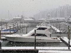 2000 VIKING "65' VIKING 2000 CONVERTIBLE" photo 3