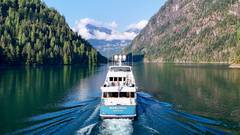 1989 DELTA MARINE Flybridge Motoryacht "MARLINDA" photo 6