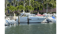 2013 CRUISERS YACHTS 380 Express "2013 CRUISERS YACHTS 380 EXPRESS" photo 3