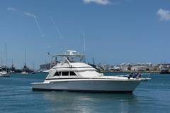 1995 BERTRAM 60 Convertible "TANIAMAR" photo 1