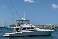 1995 BERTRAM 60 Convertible "TANIAMAR" photo 4