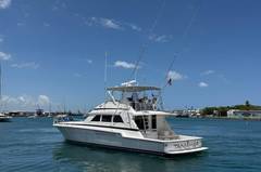 1995 BERTRAM 60 Convertible "TANIAMAR" photo 9