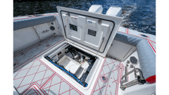 2018 BOSTON WHALER 330 "DARE TO DREAM'S SIDECHICK" photo 8