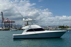 2012 VIKING 50 Convertible "SANDY" photo 1