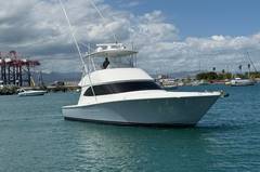 2012 VIKING 50 Convertible "SANDY" photo 3