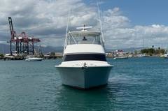 2012 VIKING 50 Convertible "SANDY" photo 4