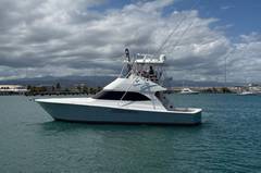2012 VIKING 50 Convertible "SANDY" photo 8