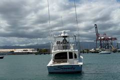 2012 VIKING 50 Convertible "SANDY" photo 9