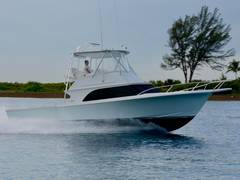 2004 LIBERTY YACHTS 42' Liberty Custom Flybridge Sportfish "REEL STEEL" photo 3