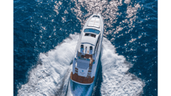2026 FILIPPETTI Sport 55 "NO NAME" photo 7