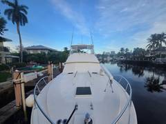 1984 BERTRAM 54 Convertible "PARADOX" photo 9