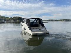 2026 SEA RAY Sundancer 370 "SEA RAY SUNDANCER 370" photo 3