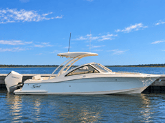 2026 SCOUT 240 Dorado "SCOUT 240 DORADO" photo 1