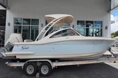 2026 SCOUT 240 Dorado "SCOUT 240 DORADO" photo 2