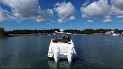 2025 SEA RAY Sundancer 320 Outboard "Sea Ray Sundancer 320 Outboard" photo 3