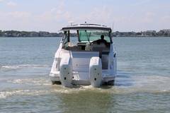 2026 SEA RAY Sundancer 320 Outboard "Sea Ray Sundancer 320 Outboard" photo 3