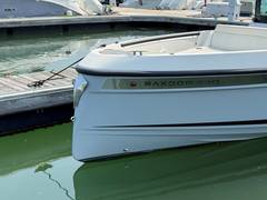 2024 SAXDOR YACHTS 320 GTC "SAXDOR 320 GTC" photo 3