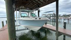 2024 BOSTON WHALER 280 VANTAGE "BOSTON WHALER 280 VANTAGE" photo 3