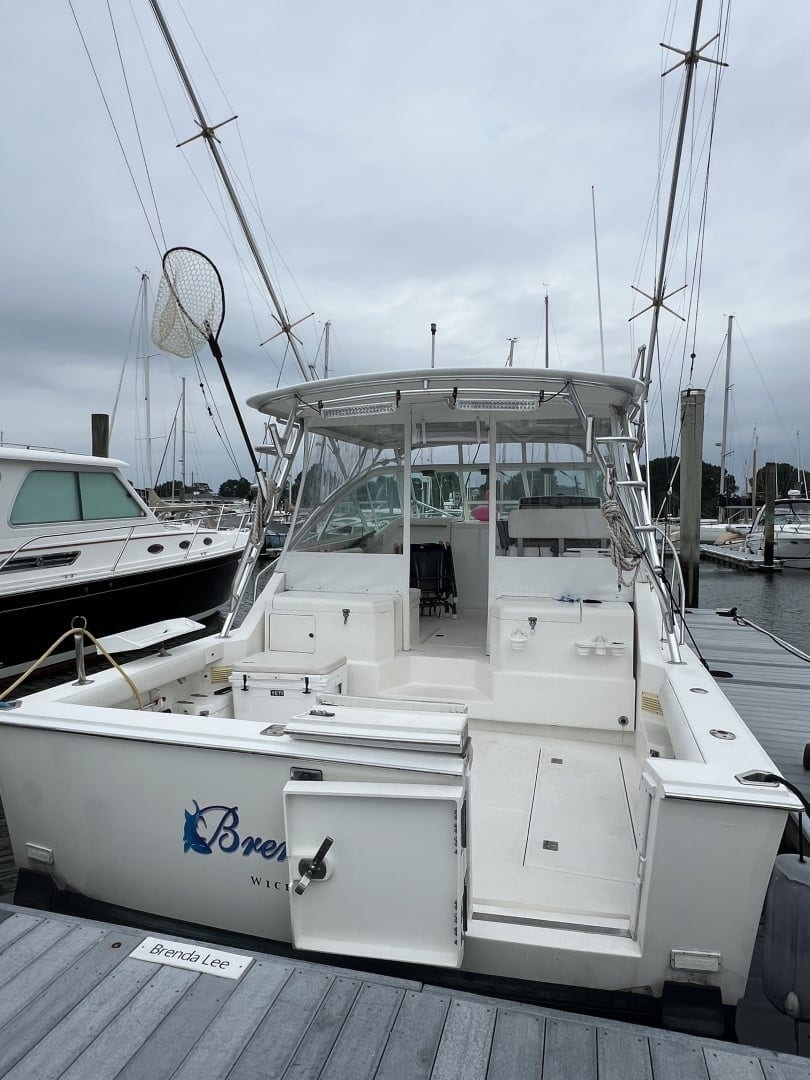 1999 Cabo Express "BRENDA LEE" - photo 2