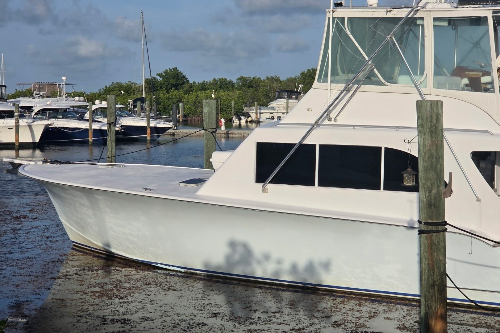 1991 Blackwell 54 Custom Carolina "FIN ADDICT" - photo 2