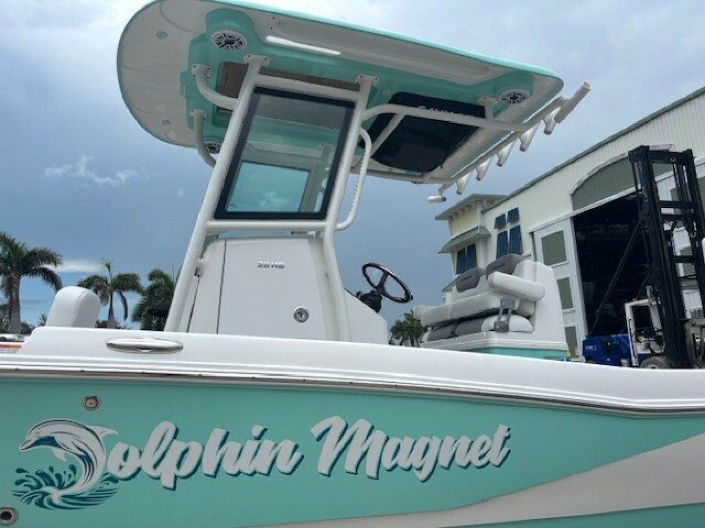 2025 Caymas 28 HB "Dolphin Magnet" - photo 3