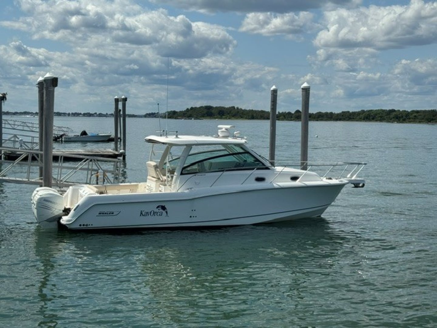 2016 Boston Whaler - photo 1