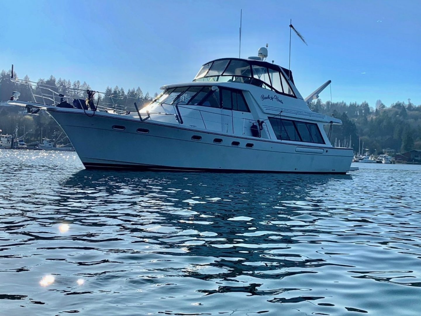 2001 Bayliner 4788 Pilothouse "BEACH HOUSE" - photo 1