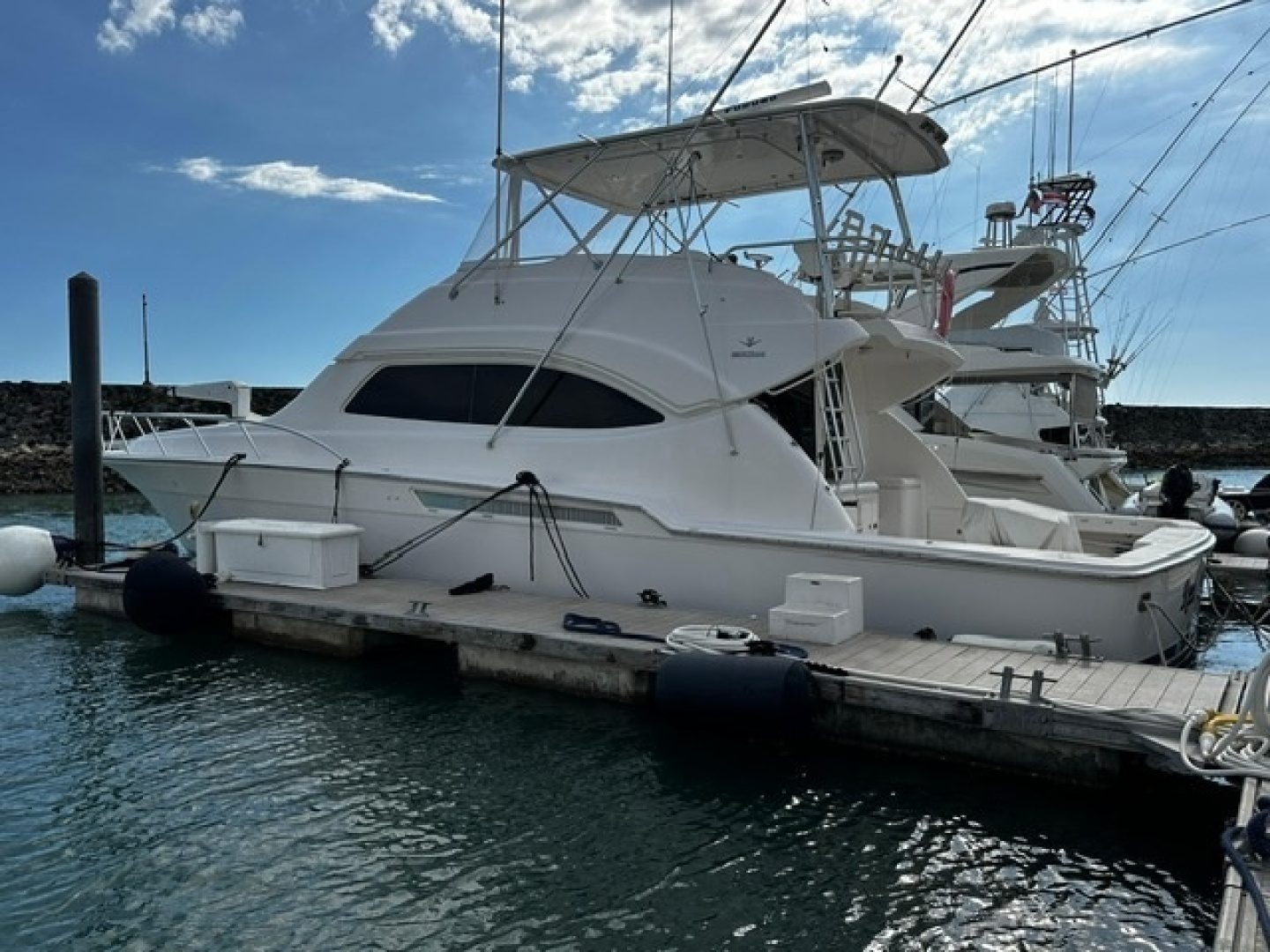2003 Bertram "Reel Retirement" - photo 2