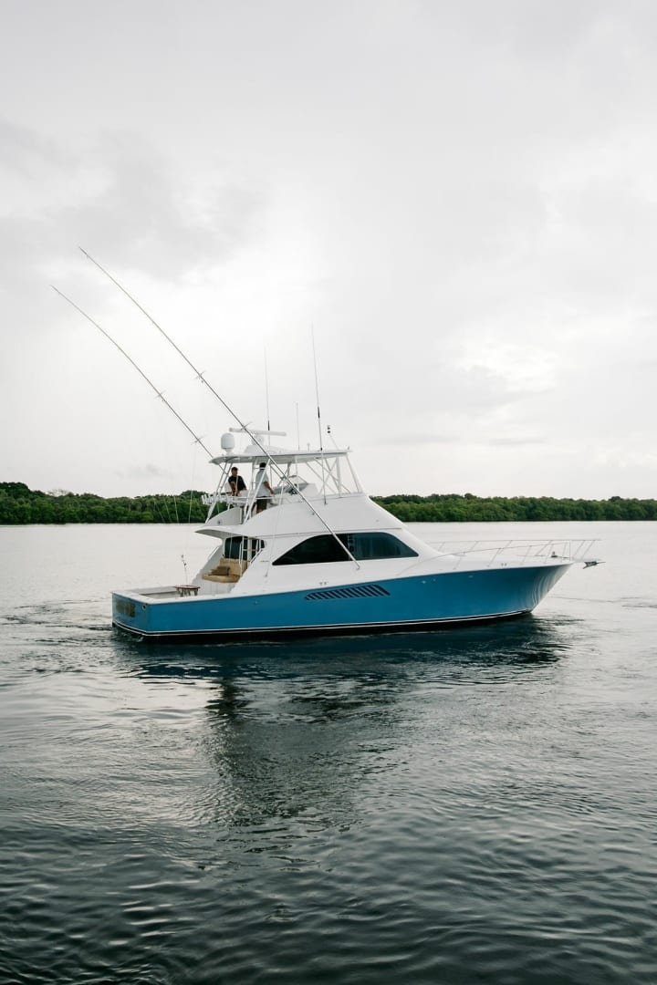 2003 Viking - photo 2