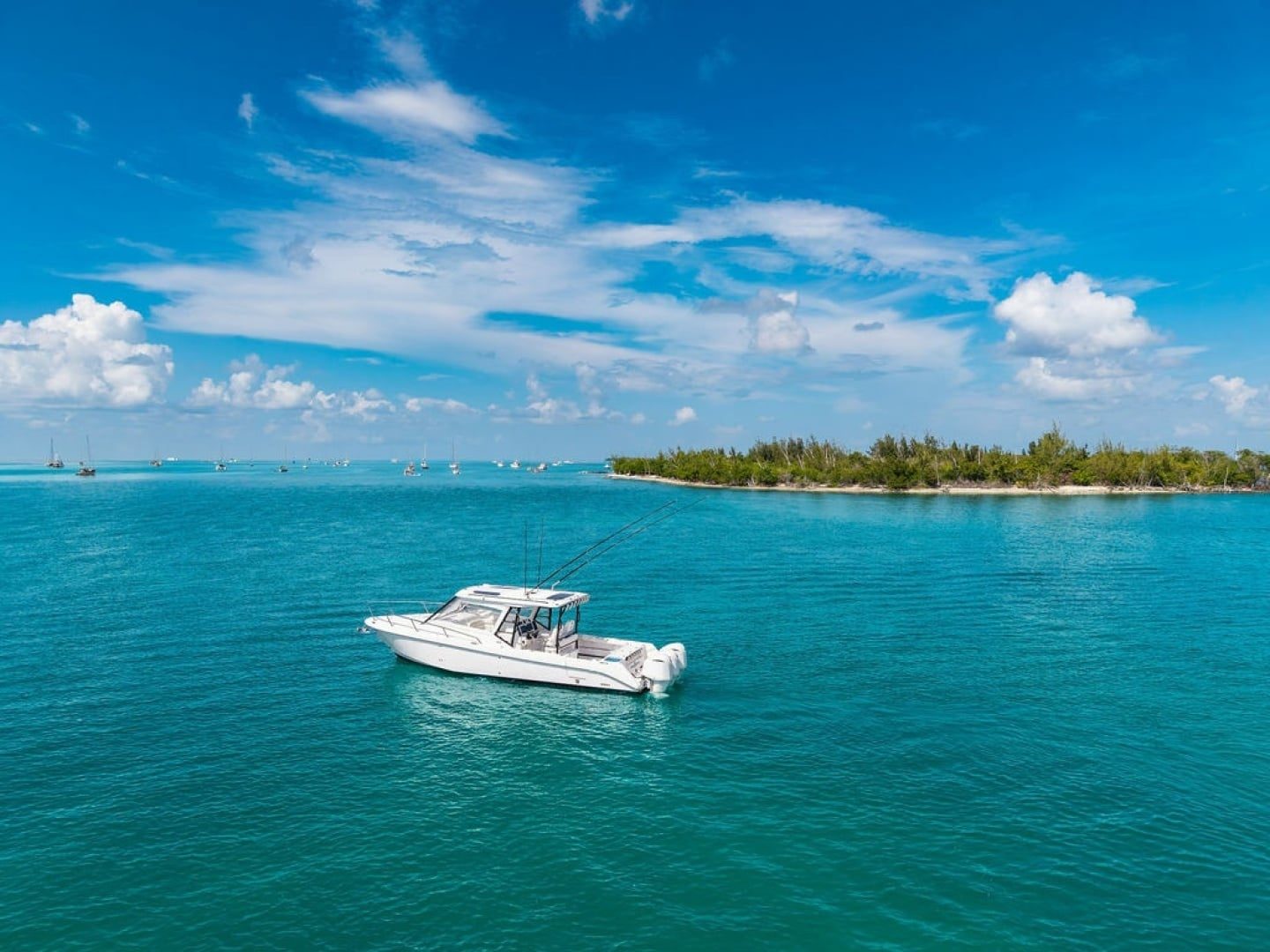2019 Everglades - photo 2