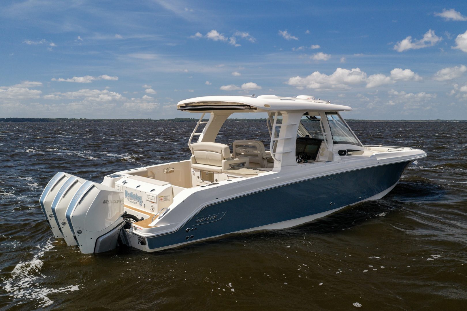 2021 Boston Whaler Realm - photo 3
