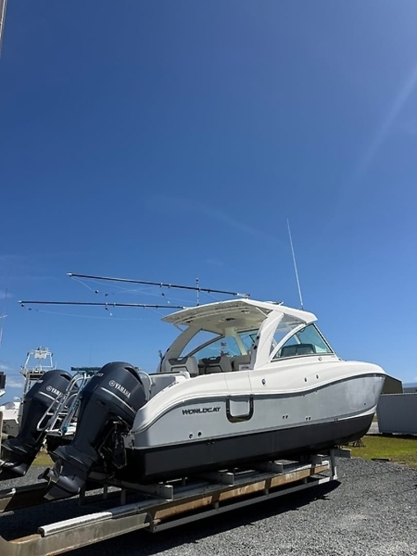 2019 World Cat 320 DC "Reel Calling" - photo 2