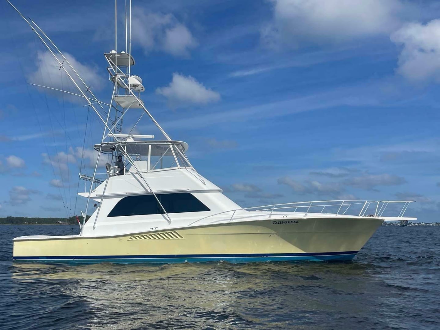1998 Viking 50 Convertible "Southern Accent" - photo 1