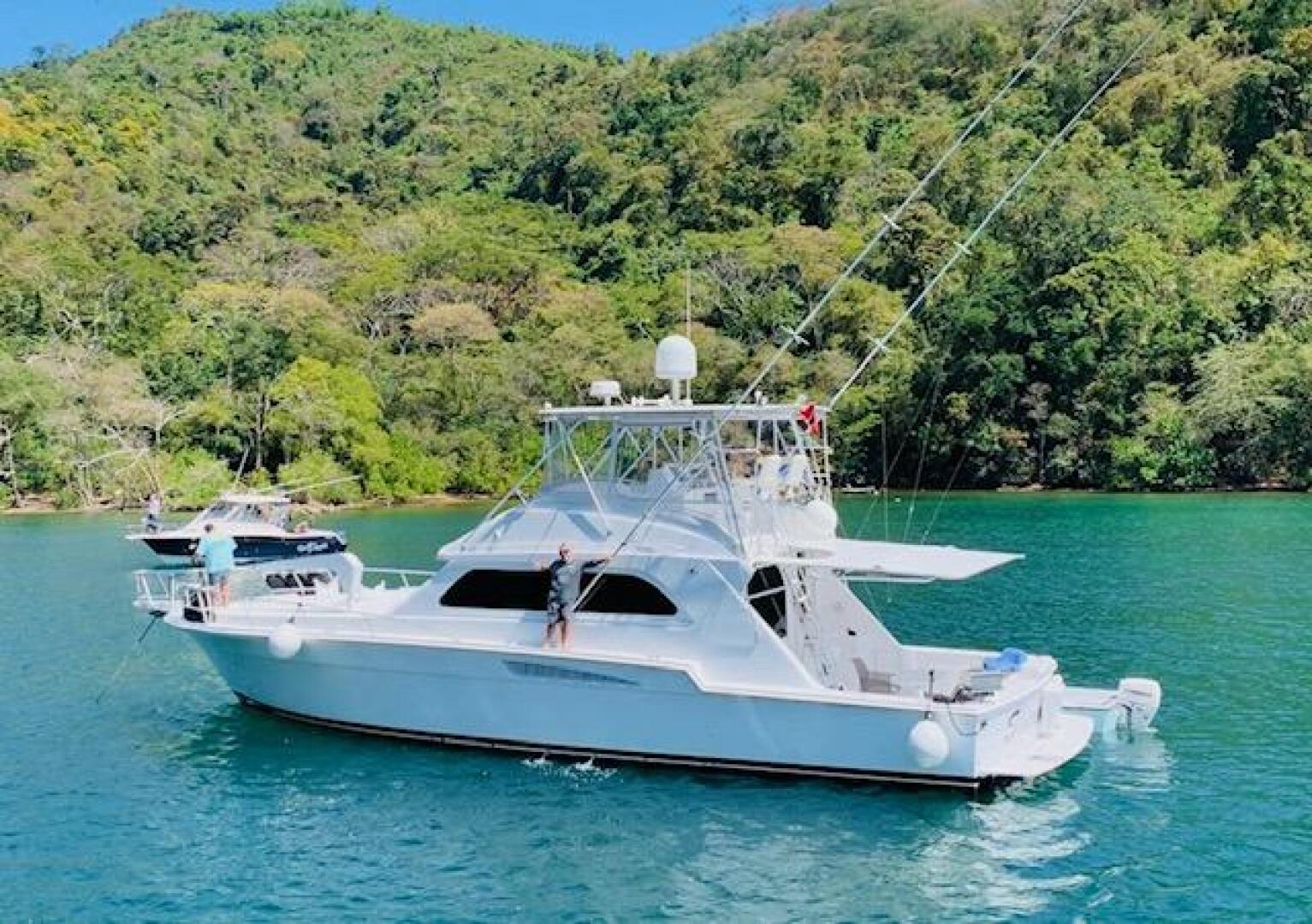 1988 Bertram 54' - photo 3