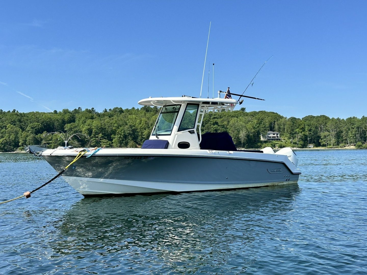 2024 Boston Whaler 250 Outrage "That's Amore" - photo 1