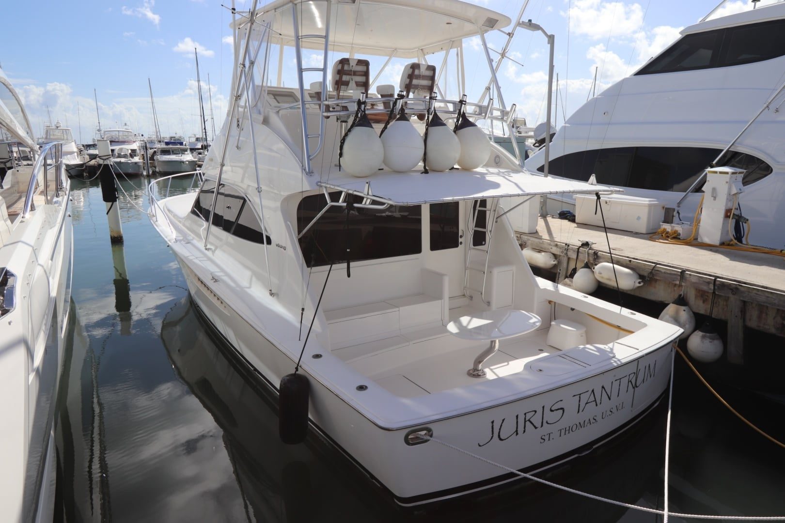 2011 Viking "Juris Tantrum" - photo 1