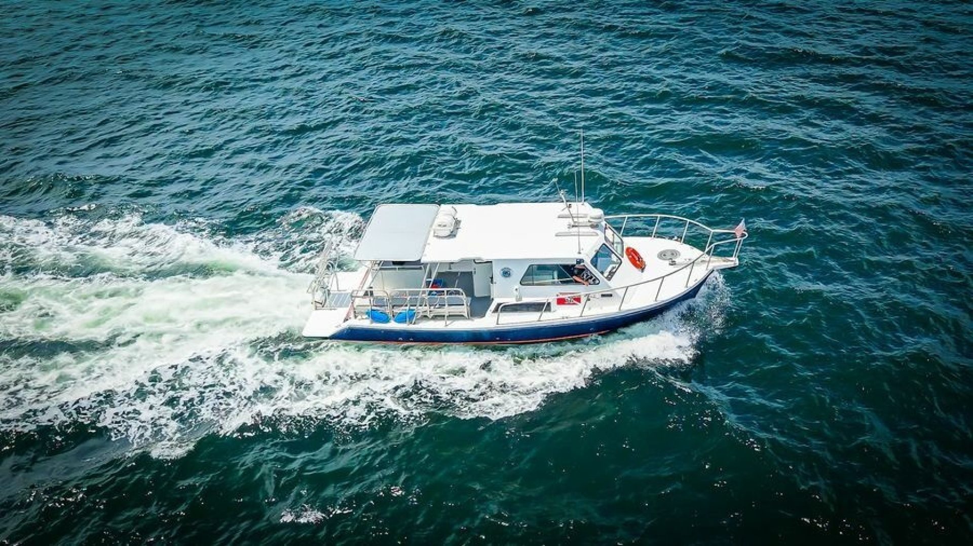 2019 Newton 36' Dive Special "BIG BLUE" - photo 2