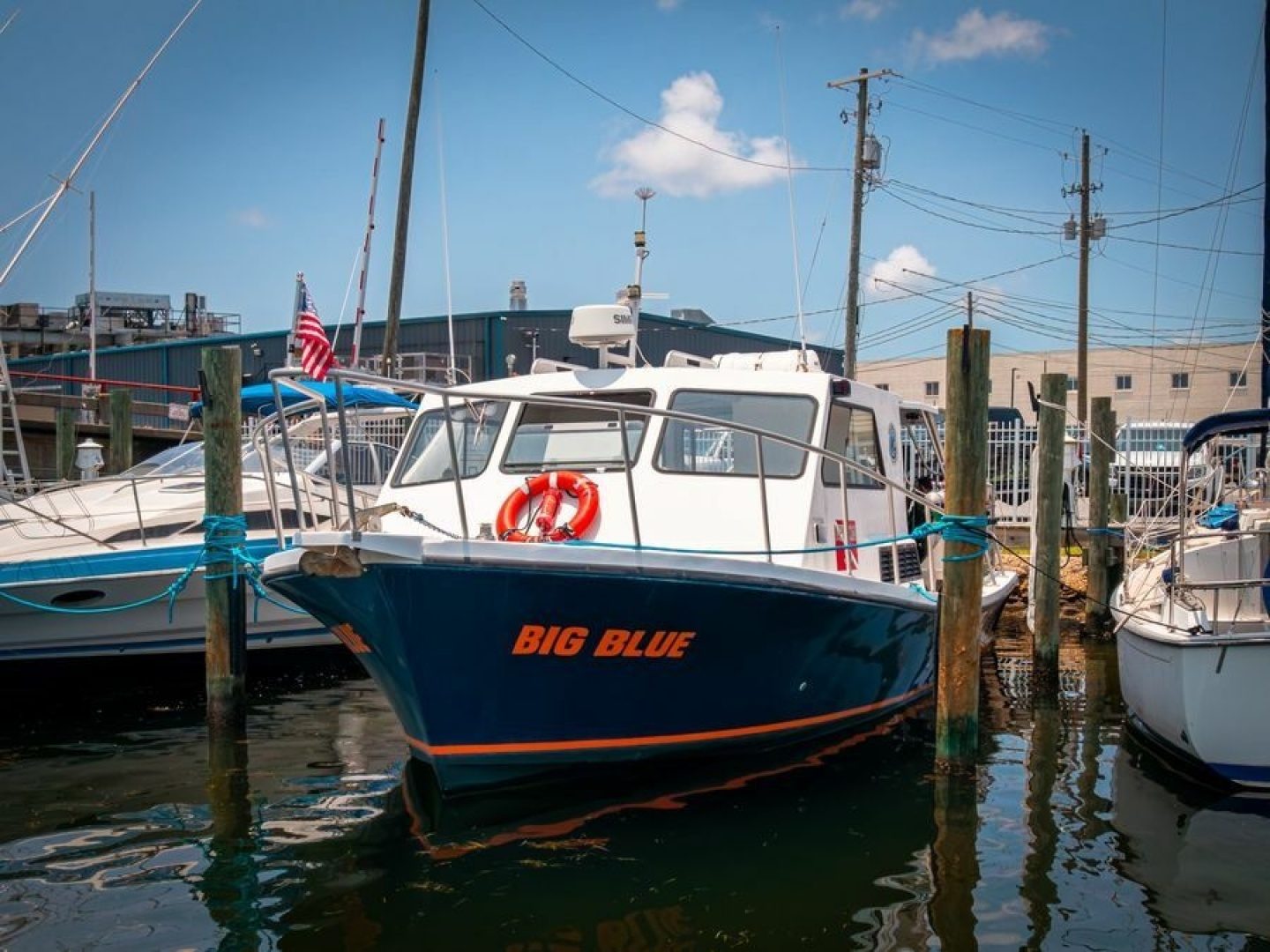 2019 Newton 36' Dive Special "BIG BLUE" - photo 1