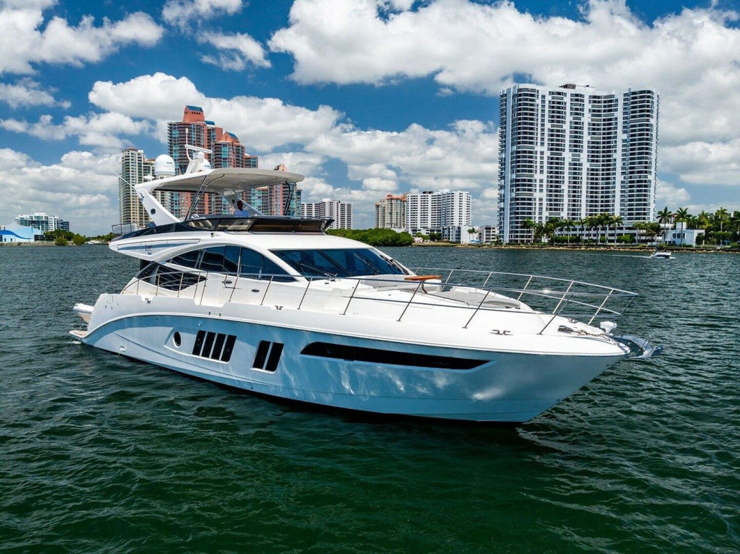 2016 Sea Ray L650 Fly "Thinks It's His" - photo 1