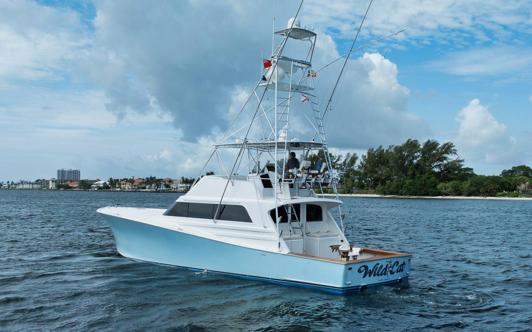 1991 Monterey "Wild Cat" - photo 1